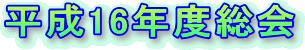 16Nx